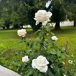 Il Giardino Sul Fiume Nera