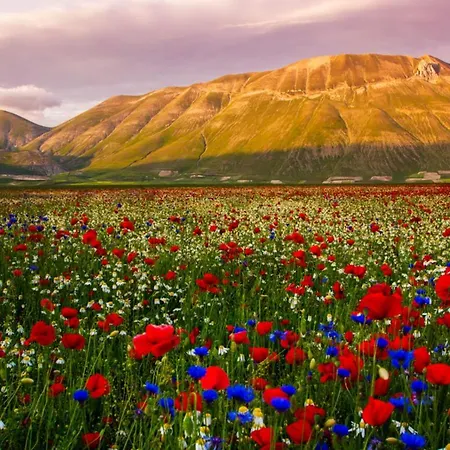 Il Giardino Sul Fiume Nera Cerreto di Spoleto