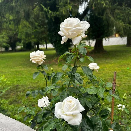 Il Giardino Sul Fiume Nera