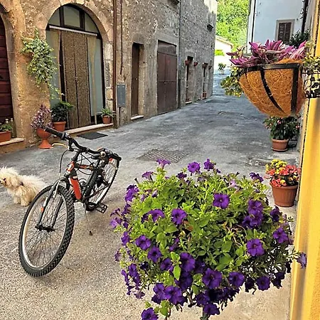 Il Giardino Sul Fiume Nera 3*