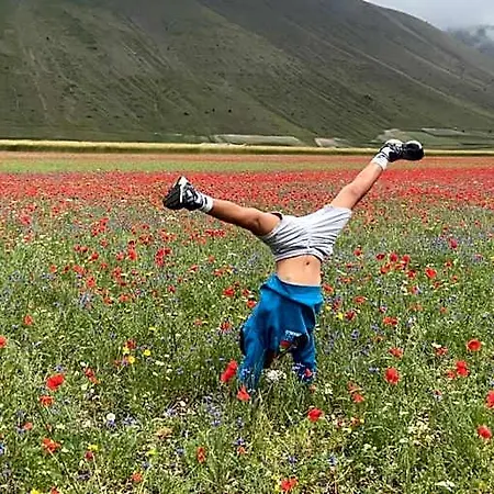 Il Giardino Sul Fiume Nera 3*